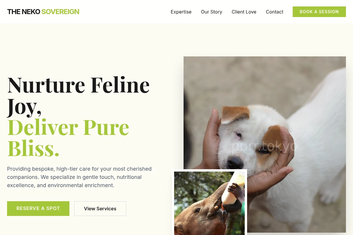 Feline Animal Care
