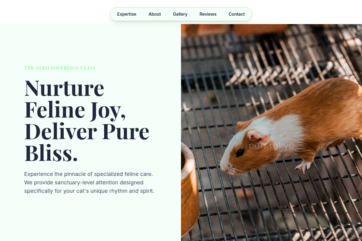 Meow Animal Care