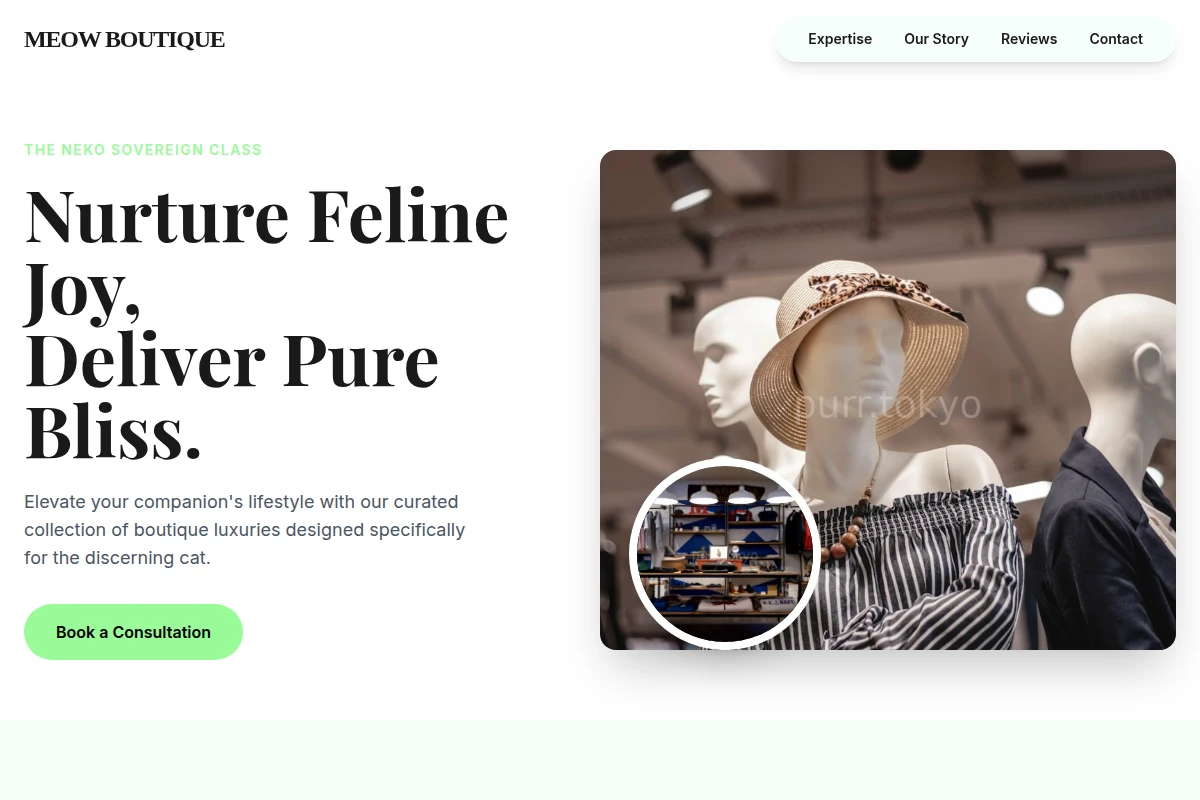 Meow Boutique