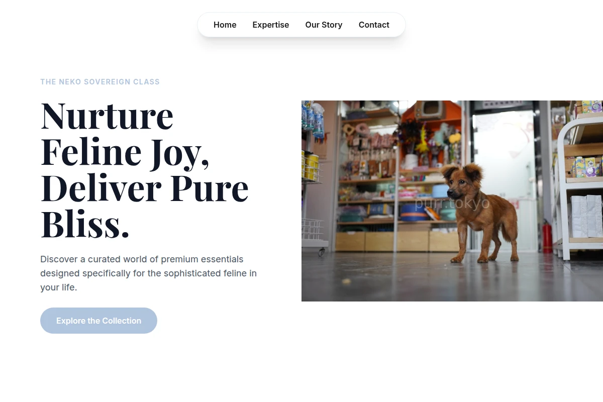 Bowl Pet Shop